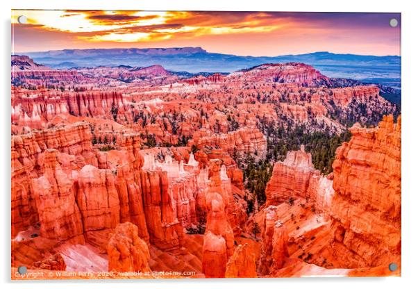 Sunrise Thor's Hammer Sunset Point Bryce Canyon Na Acrylic by William Perry