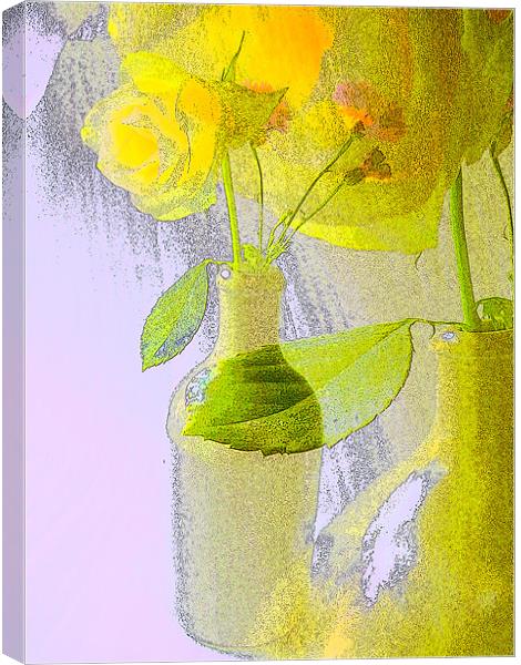 yellow flower Canvas Print by joseph finlow canvas and prints