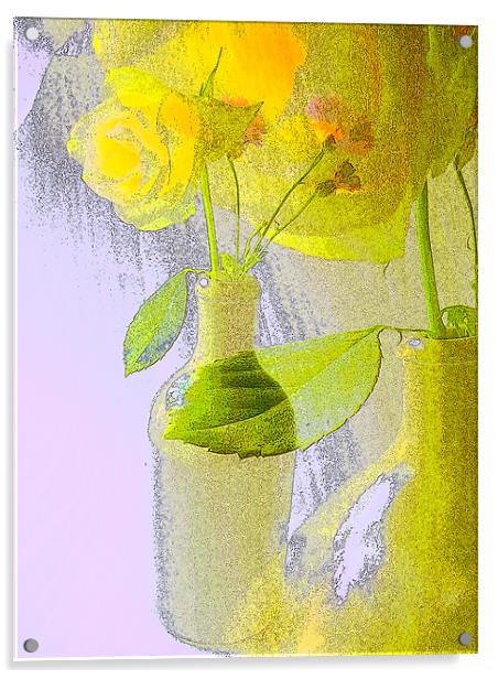 yellow flower Acrylic by joseph finlow canvas and prints