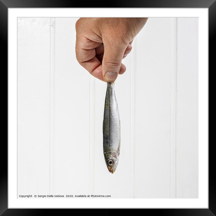 a hand held a sardine Framed Mounted Print by Sergio Delle Vedove