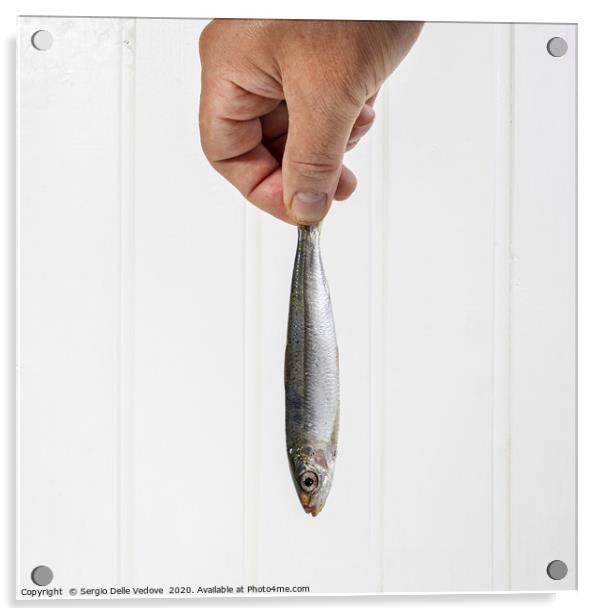 a hand held a sardine Acrylic by Sergio Delle Vedove