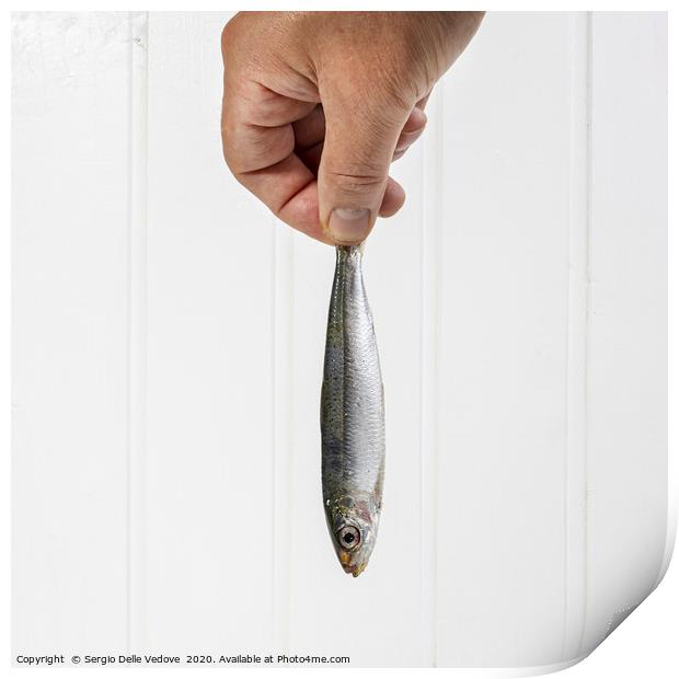 a hand held a sardine Print by Sergio Delle Vedove