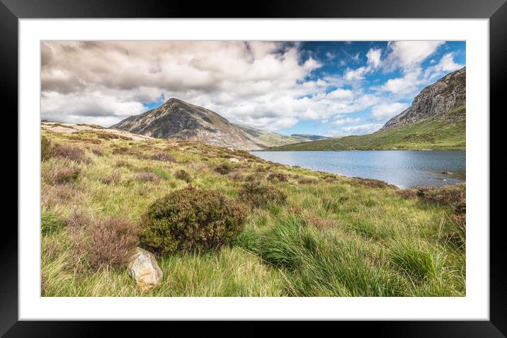 Summer fades Framed Mounted Print by Jonathon barnett