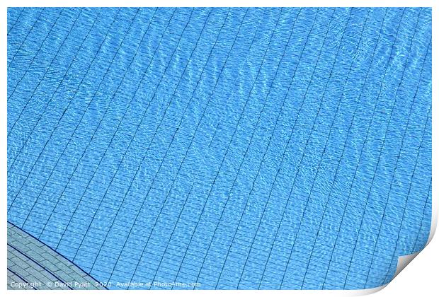 Summer Swimming Pool  Print by David Pyatt