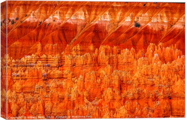Amphitheater Abstract Hoodoos Bryce Canyon Utah Canvas Print by William Perry