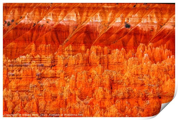Amphitheater Abstract Hoodoos Bryce Canyon Utah Print by William Perry