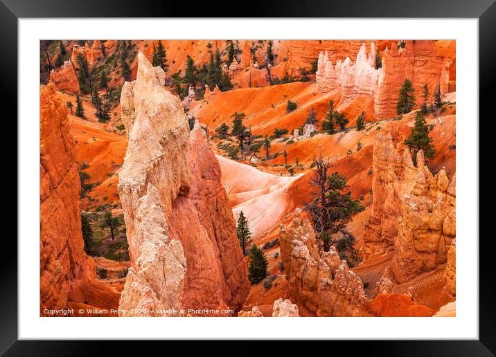 Hoodoos Bryce Canyon National Park Utah Framed Mounted Print by William Perry