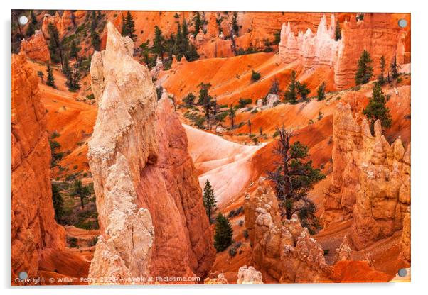 Hoodoos Bryce Canyon National Park Utah Acrylic by William Perry