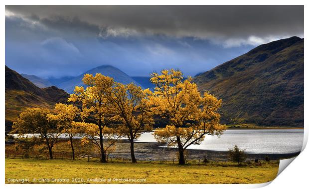 Loch Duich and Inverinate shoreline                Print by Chris Drabble