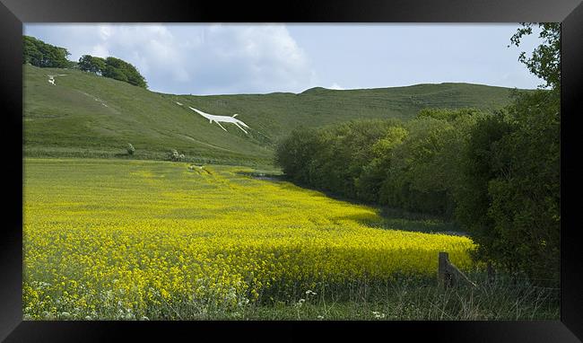 White Horse Cherhill Framed Print by David French