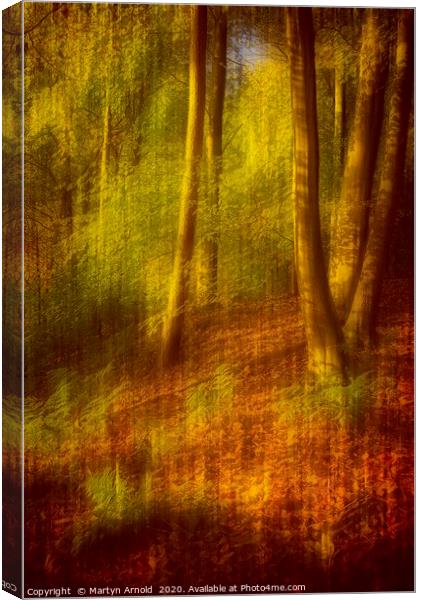 Autumn Woodland Canvas Print by Martyn Arnold