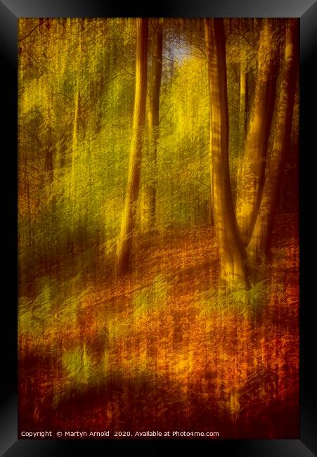 Autumn Woodland Framed Print by Martyn Arnold