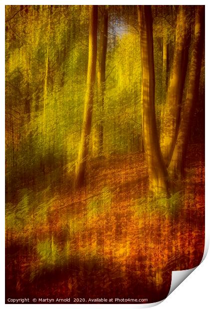 Autumn Woodland Print by Martyn Arnold