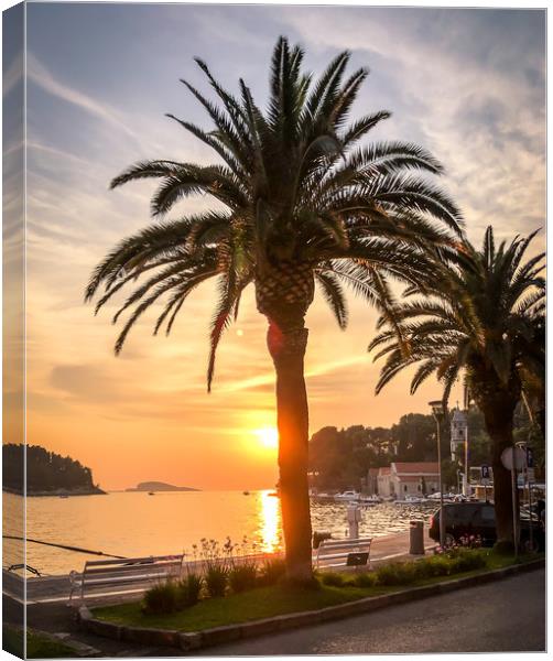 Palm trees in Cavtat old town Canvas Print by Naylor's Photography