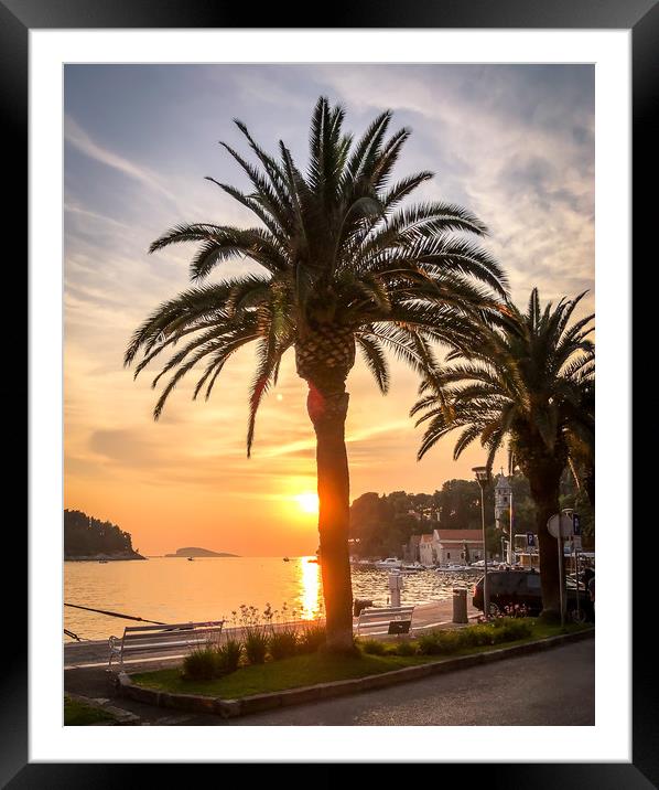 Palm trees in Cavtat old town Framed Mounted Print by Naylor's Photography