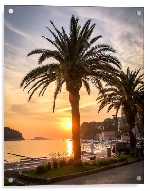 Palm trees in Cavtat old town Acrylic by Naylor's Photography