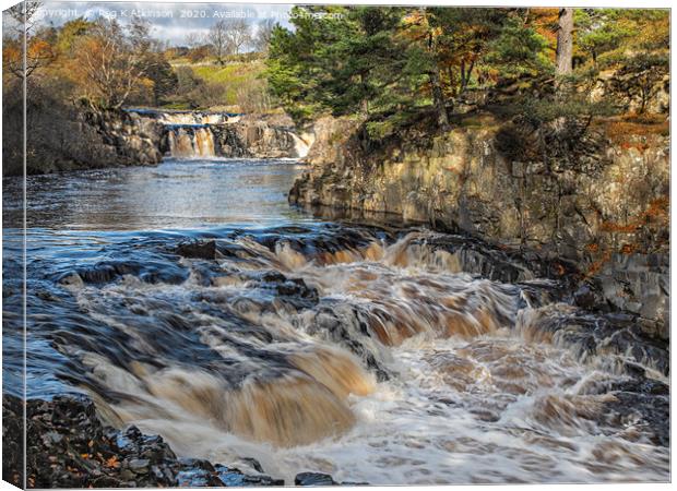 Low Force - Upper Teesdale Canvas Print by Reg K Atkinson