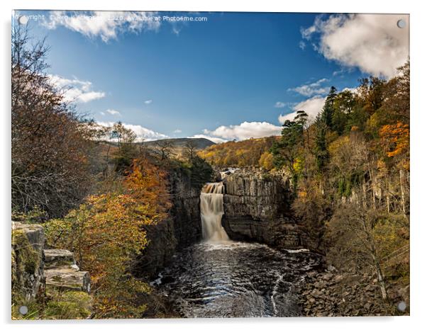 Autumn at High Force Acrylic by Reg K Atkinson