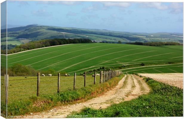 South downs view Canvas Print by Paul Clifton