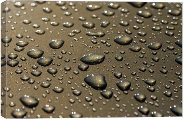 Rain drops at reflective surface, selective focus Canvas Print by Arpad Radoczy