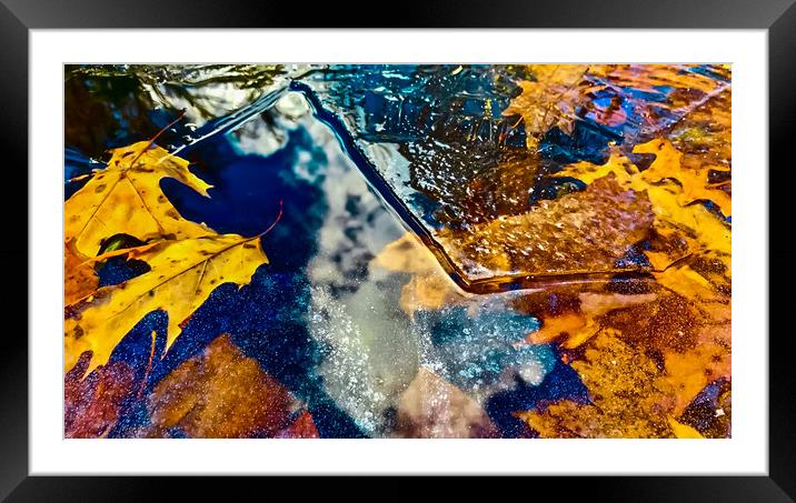 Winter Leaves Framed Mounted Print by Dillan Marsey
