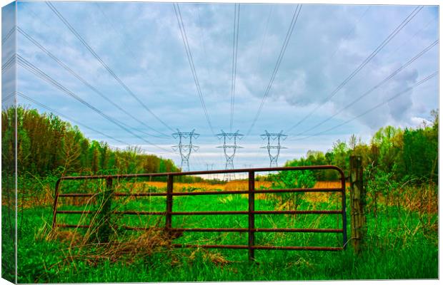Gate of Utility Canvas Print by Dillan Marsey
