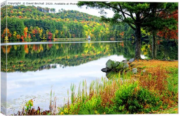 Autumn in New England Canvas Print by David Birchall