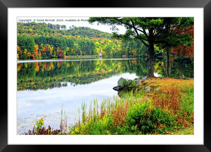 Autumn in New England Framed Mounted Print by David Birchall