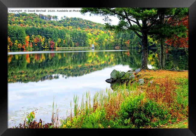 Autumn in New England Framed Print by David Birchall