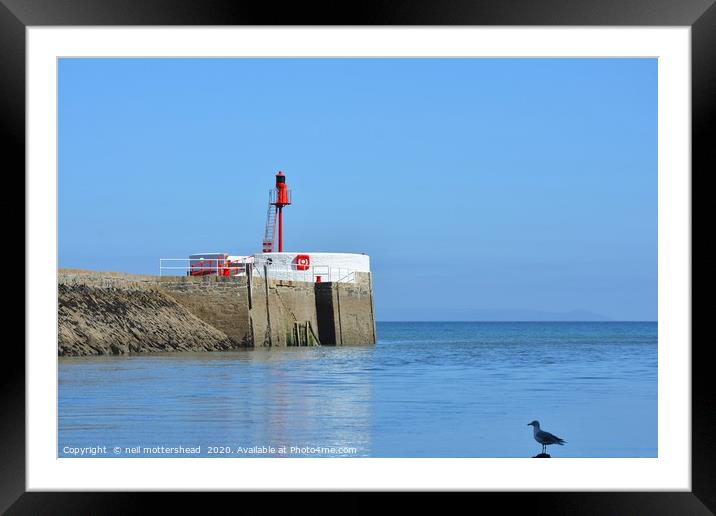 A Seagull Surveys The Banjo Pier At Looe Framed Mounted Print by Neil Mottershead
