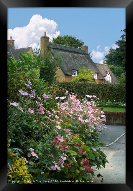 Anemone Cottage Ilmington Framed Print by Alison Chambers