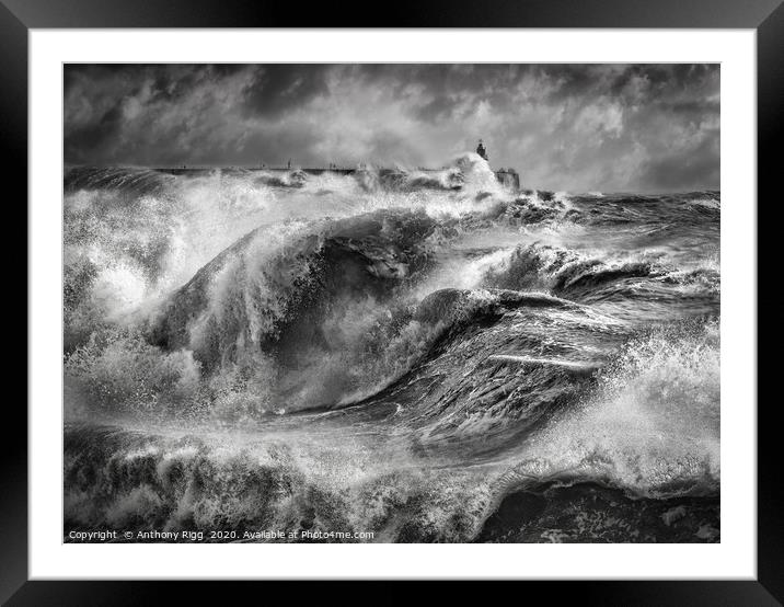 Storm Force Framed Mounted Print by Anthony Rigg