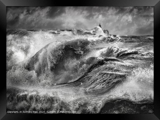Storm Force Framed Print by Anthony Rigg