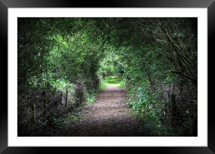 The Gate  Framed Mounted Print by Jon Fixter