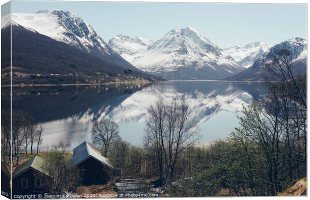 Norwegian landscapes with snow and trees Canvas Print by Joaquin Corbalan