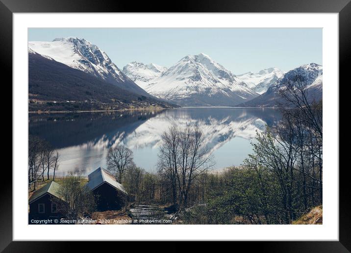 Norwegian landscapes with snow and trees Framed Mounted Print by Joaquin Corbalan