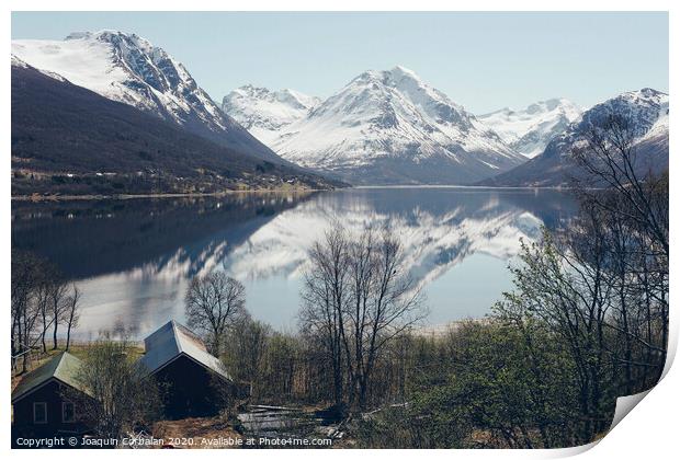 Norwegian landscapes with snow and trees Print by Joaquin Corbalan