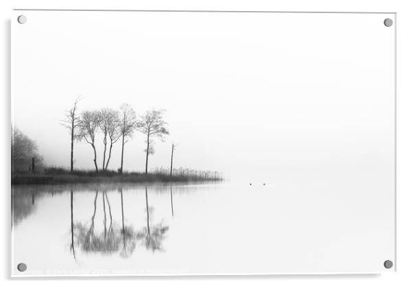 Loch Ard trees Acrylic by Chris Lauder