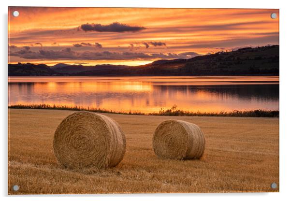 Hay Bales Cromarty Firth Acrylic by Jason Moss