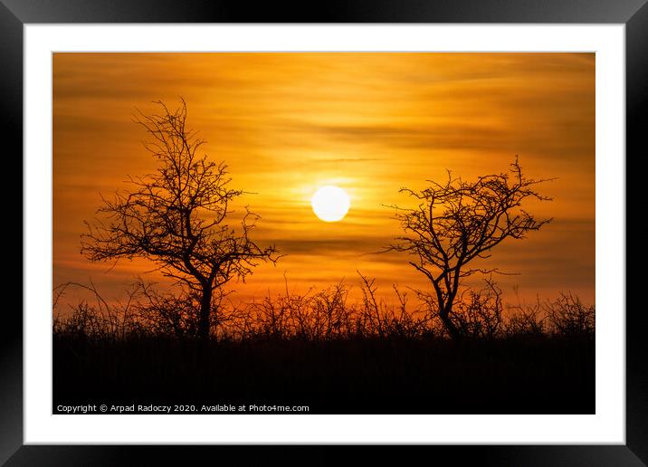 Beautiful sunset landscape with bushes Framed Mounted Print by Arpad Radoczy