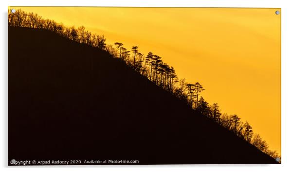 Curved mountain silhouette with tree in a sunset l Acrylic by Arpad Radoczy