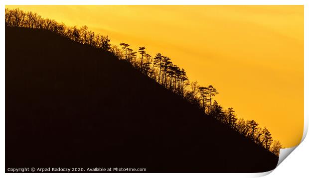 Curved mountain silhouette with tree in a sunset l Print by Arpad Radoczy