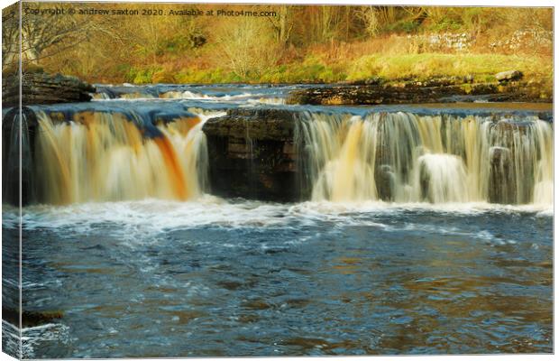 KELD IN WATER Canvas Print by andrew saxton