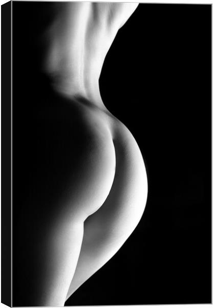 nude ass woman bodyscape Canvas Print by Alessandro Della Torre