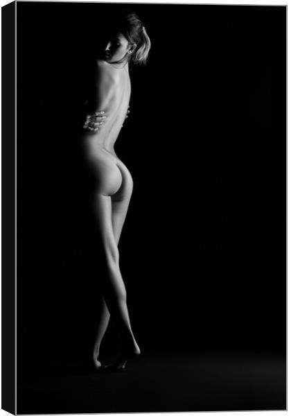 fine art nude of naked woman bodyscape sexy Canvas Print by Alessandro Della Torre
