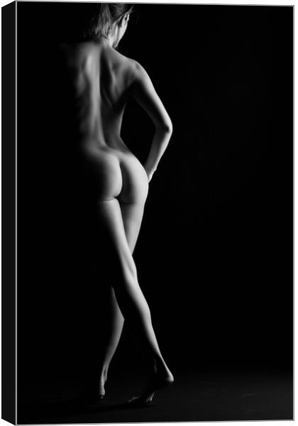 Nude sexy woman standing Canvas Print by Alessandro Della Torre