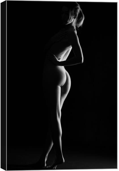 nude woman's back standing naked silhouette Canvas Print by Alessandro Della Torre