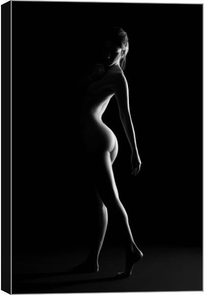 nude standing bodyscape of sensual fine art woman  Canvas Print by Alessandro Della Torre