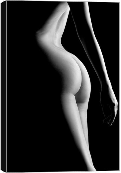 nude standing bodyscape close up of sexy fine art woman  Canvas Print by Alessandro Della Torre