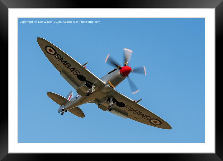 Spitfire MKVIII  Framed Mounted Print by Lee Wilson